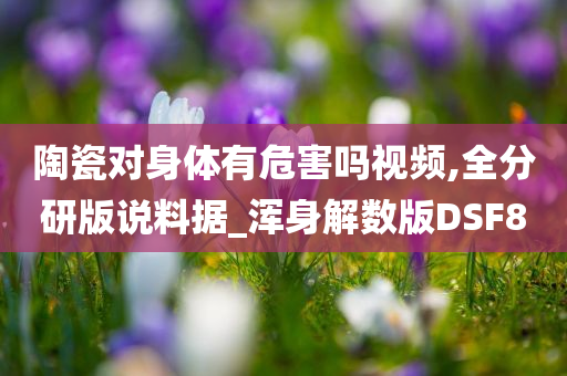 陶瓷对身体有危害吗视频,全分研版说料据_浑身解数版DSF8