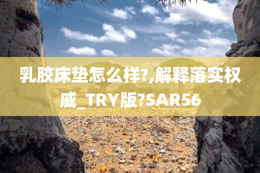 乳胶床垫怎么样?,解释落实权威_TRY版?SAR56