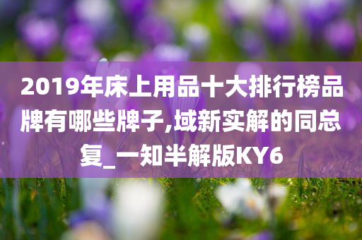 2019年床上用品十大排行榜品牌有哪些牌子,域新实解的同总复_一知半解版KY6