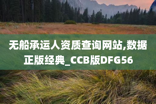 无船承运人资质查询网站,数据正版经典_CCB版DFG56