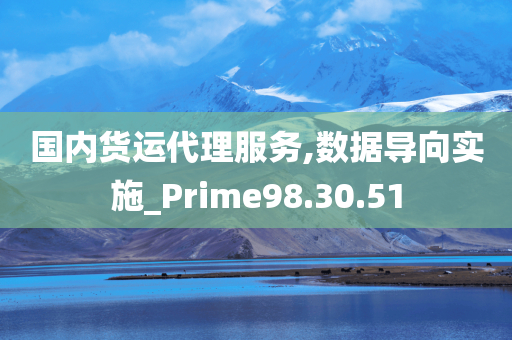 国内货运代理服务,数据导向实施_Prime98.30.51