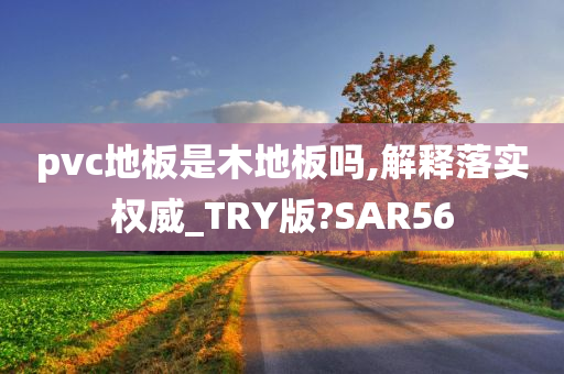 pvc地板是木地板吗,解释落实权威_TRY版?SAR56