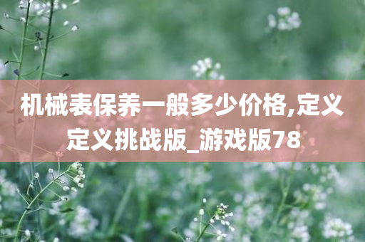 机械表保养一般多少价格,定义定义挑战版_游戏版78