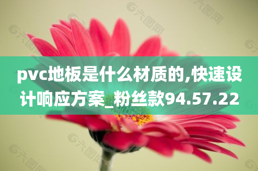 pvc地板是什么材质的,快速设计响应方案_粉丝款94.57.22