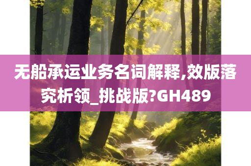 无船承运业务名词解释,效版落究析领_挑战版?GH489