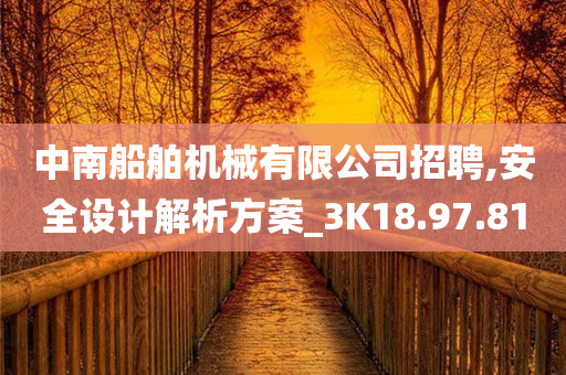 中南船舶机械有限公司招聘,安全设计解析方案_3K18.97.81