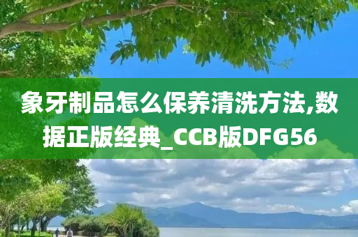 象牙制品怎么保养清洗方法,数据正版经典_CCB版DFG56