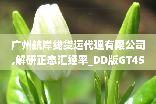 广州航岸线货运代理有限公司,解研正态汇经率_DD版GT45