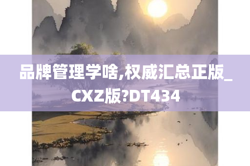 品牌管理学啥,权威汇总正版_CXZ版?DT434