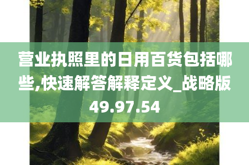 营业执照里的日用百货包括哪些,快速解答解释定义_战略版49.97.54