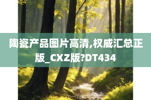 陶瓷产品图片高清,权威汇总正版_CXZ版?DT434