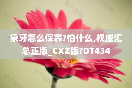 象牙怎么保养?怕什么,权威汇总正版_CXZ版?DT434