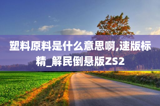 塑料原料是什么意思啊,速版标精_解民倒悬版ZS2