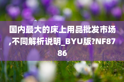 国内最大的床上用品批发市场,不同解析说明_BYU版?NF8786