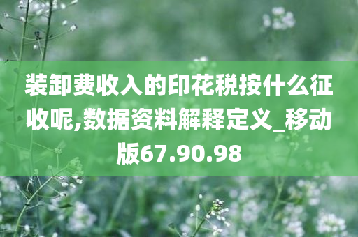 装卸费收入的印花税按什么征收呢,数据资料解释定义_移动版67.90.98