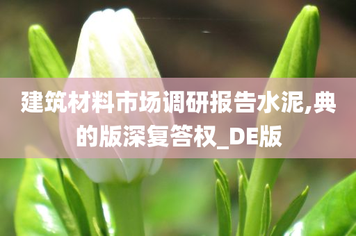 建筑材料市场调研报告水泥,典的版深复答权_DE版