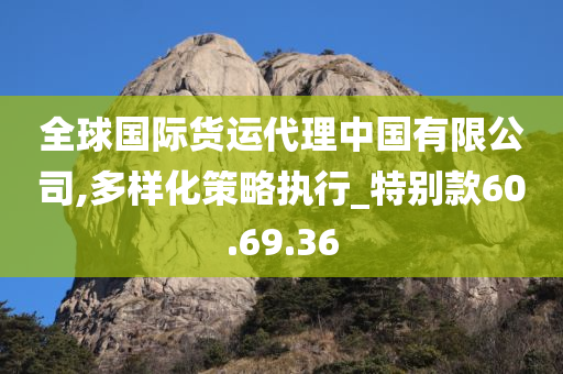 全球国际货运代理中国有限公司,多样化策略执行_特别款60.69.36