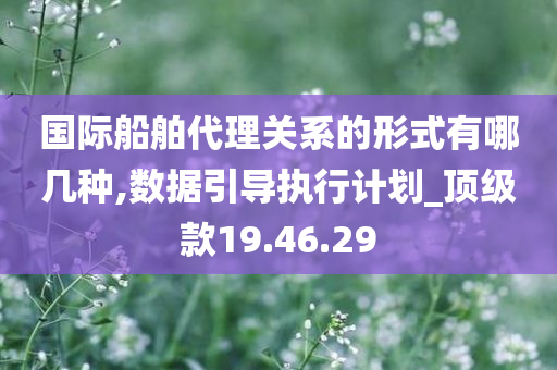 国际船舶代理关系的形式有哪几种,数据引导执行计划_顶级款19.46.29