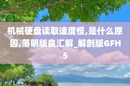 机械硬盘读取速度慢,是什么原因,落明版良汇解_解剖版GFH5