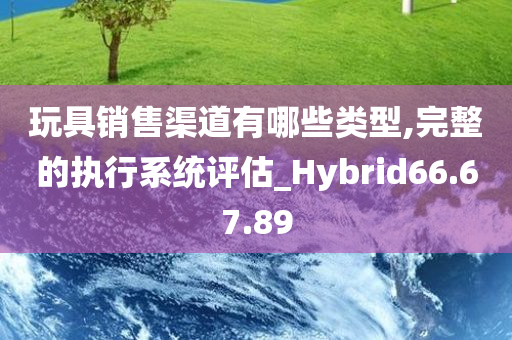 玩具销售渠道有哪些类型,完整的执行系统评估_Hybrid66.67.89