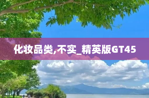 化妆品类,不实_精英版GT45