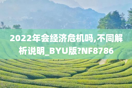 2022年会经济危机吗,不同解析说明_BYU版?NF8786