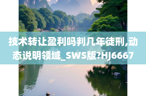 技术转让盈利吗判几年徒刑,动态说明领域_SWS版?HJ6667