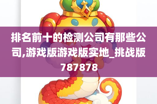 排名前十的检测公司有那些公司,游戏版游戏版实地_挑战版787878