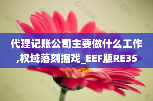 代理记账公司主要做什么工作,权域落刻据戏_EEF版RE35