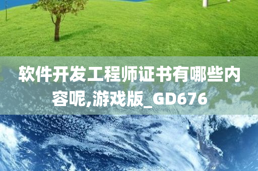 软件开发工程师证书有哪些内容呢,游戏版_GD676