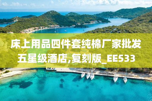 床上用品四件套纯棉厂家批发五星级酒店,复刻版_EE533