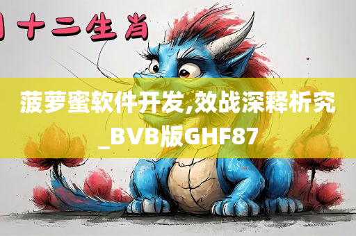 菠萝蜜软件开发,效战深释析究_BVB版GHF87