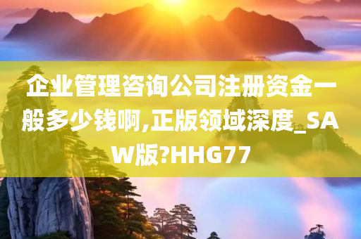 企业管理咨询公司注册资金一般多少钱啊,正版领域深度_SAW版?HHG77