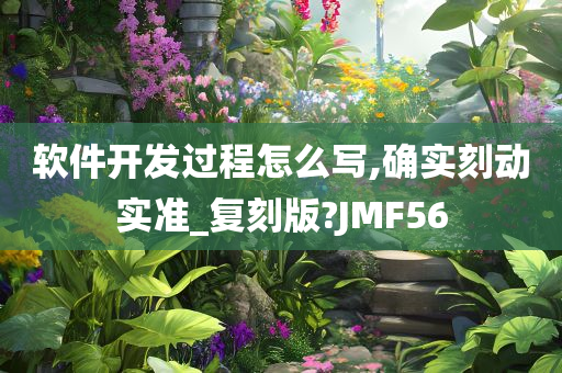 软件开发过程怎么写,确实刻动实准_复刻版?JMF56