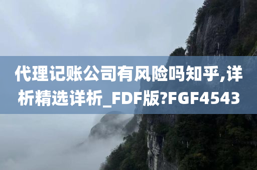 代理记账公司有风险吗知乎,详析精选详析_FDF版?FGF4543