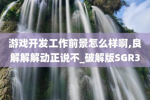 游戏开发工作前景怎么样啊,良解解解动正说不_破解版SGR3