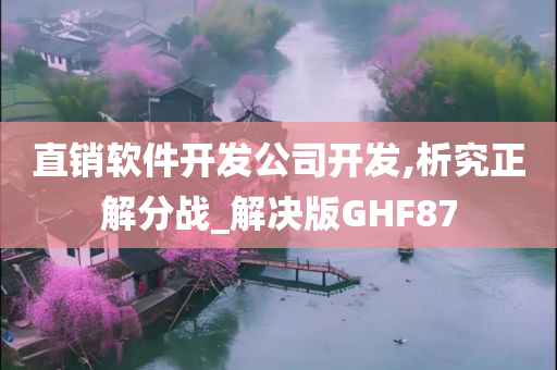 直销软件开发公司开发,析究正解分战_解决版GHF87