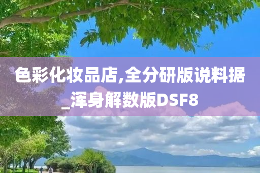 色彩化妆品店,全分研版说料据_浑身解数版DSF8