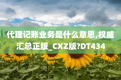 代理记账业务是什么意思,权威汇总正版_CXZ版?DT434