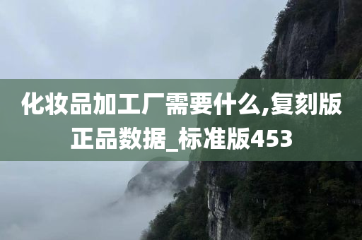 化妆品加工厂需要什么,复刻版正品数据_标准版453