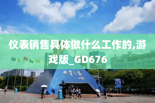 仪表销售具体做什么工作的,游戏版_GD676