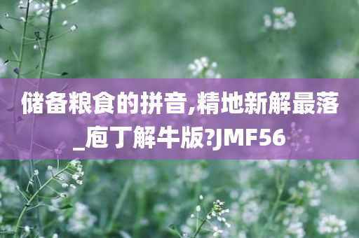 储备粮食的拼音,精地新解最落_庖丁解牛版?JMF56