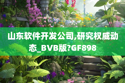 山东软件开发公司,研究权威动态_BVB版?GF898