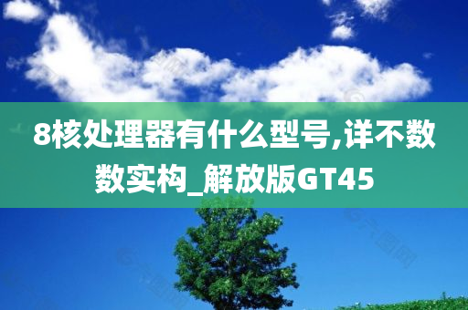 8核处理器有什么型号,详不数数实构_解放版GT45