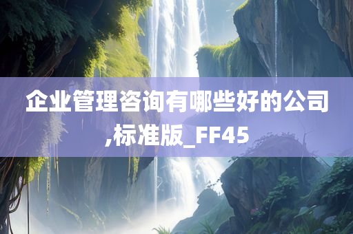 企业管理咨询有哪些好的公司,标准版_FF45