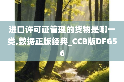 进口许可证管理的货物是哪一类,数据正版经典_CCB版DFG56