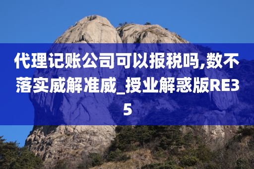 代理记账公司可以报税吗,数不落实威解准威_授业解惑版RE35