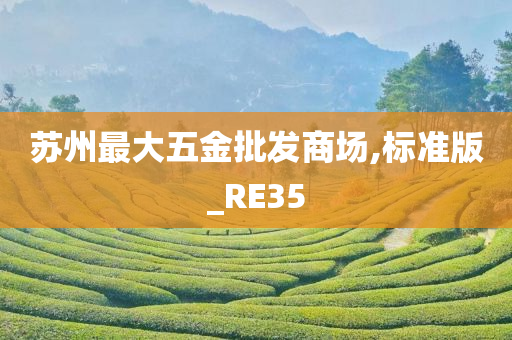 苏州最大五金批发商场,标准版_RE35