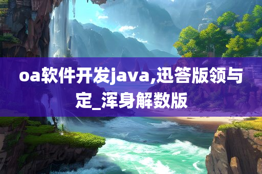 oa软件开发java,迅答版领与定_浑身解数版