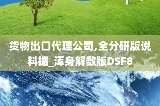 货物出口代理公司,全分研版说料据_浑身解数版DSF8